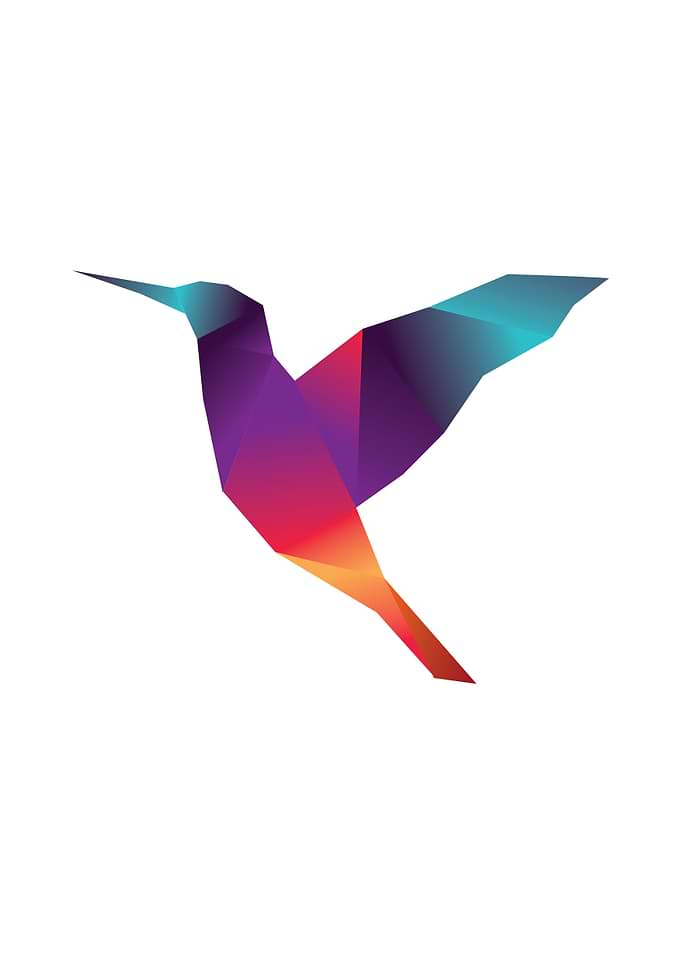 hummingbird