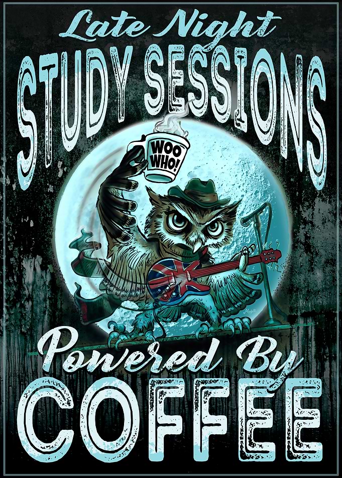 Late Nite Study Owl