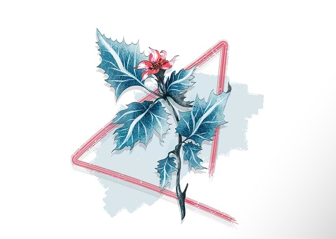 flower illustration