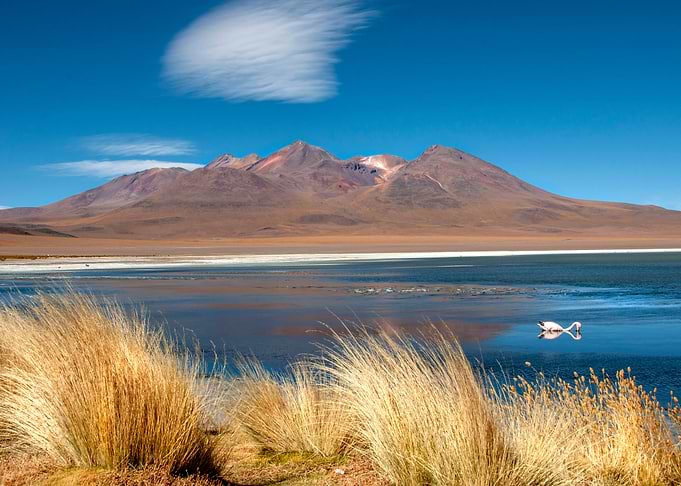 laguna canapa