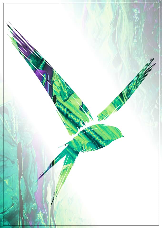 Acrylic Bird