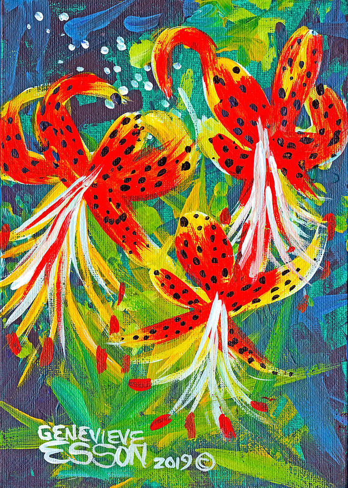 Tiger Lilies