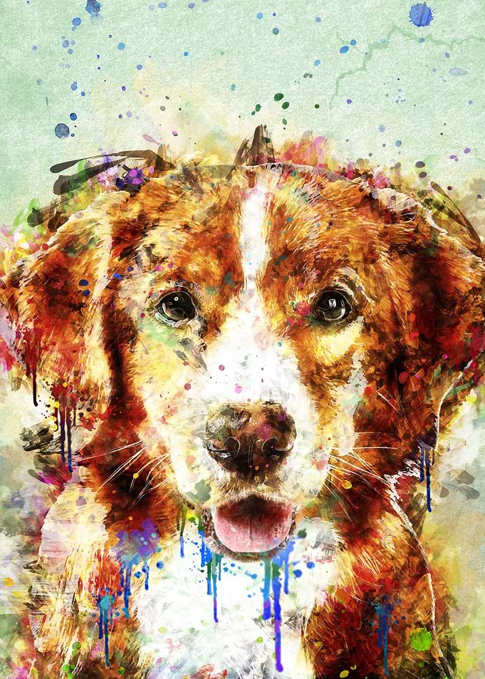 dog