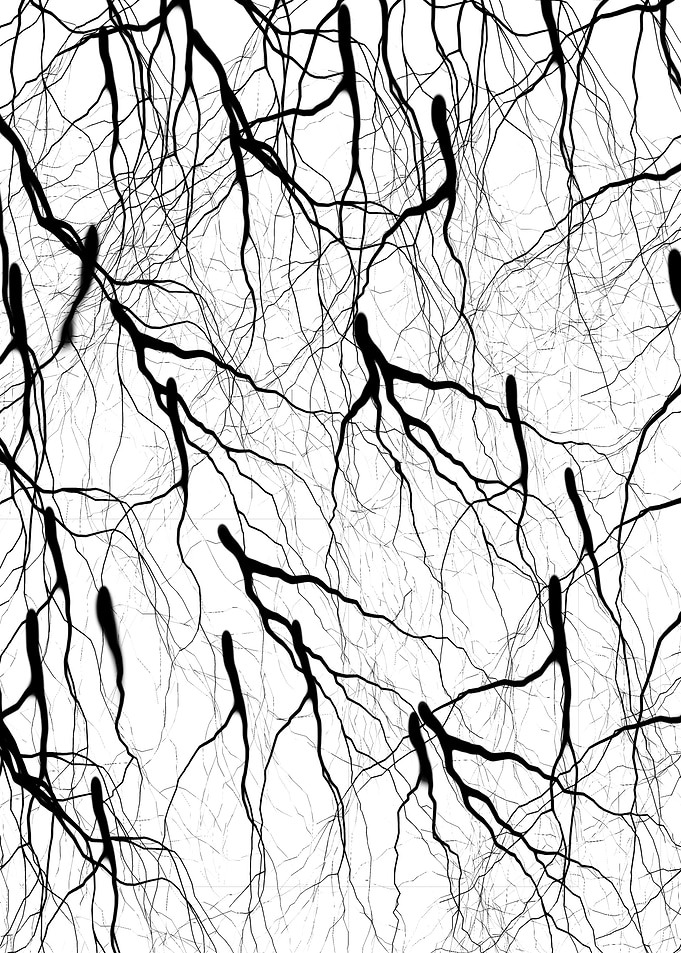 Abstracto