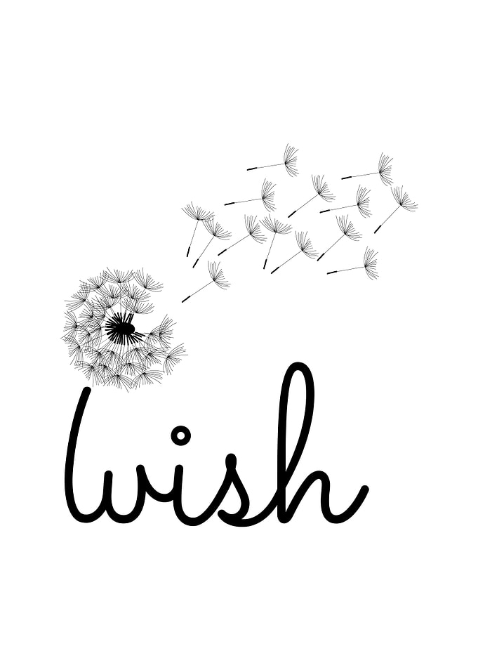 wish dandelion