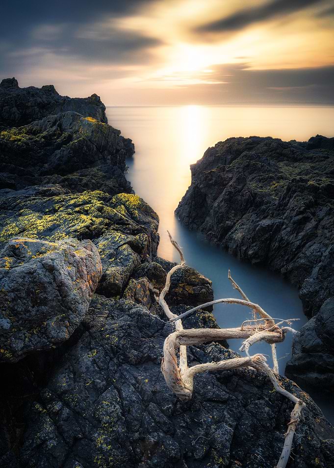 Golden Waters
