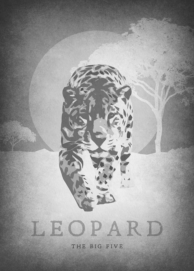 Leopard