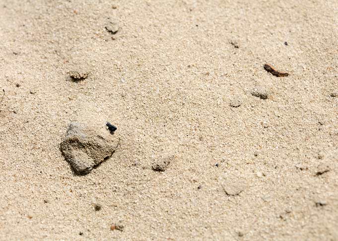Sea sand macro fine prints