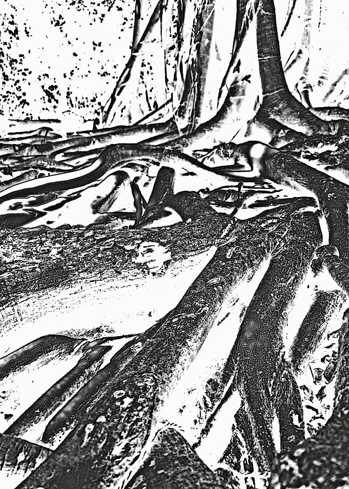 Roots