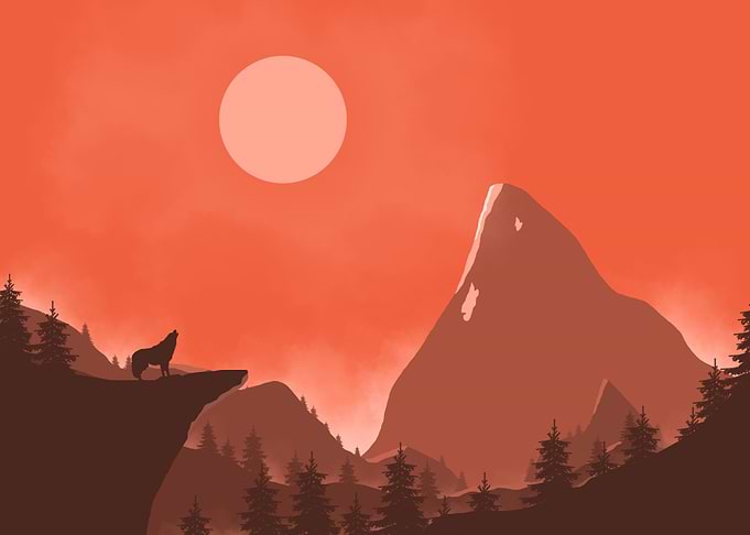The lonely wolf