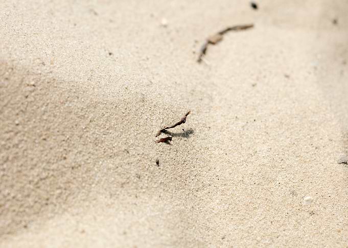 Sea sand macro fine prints