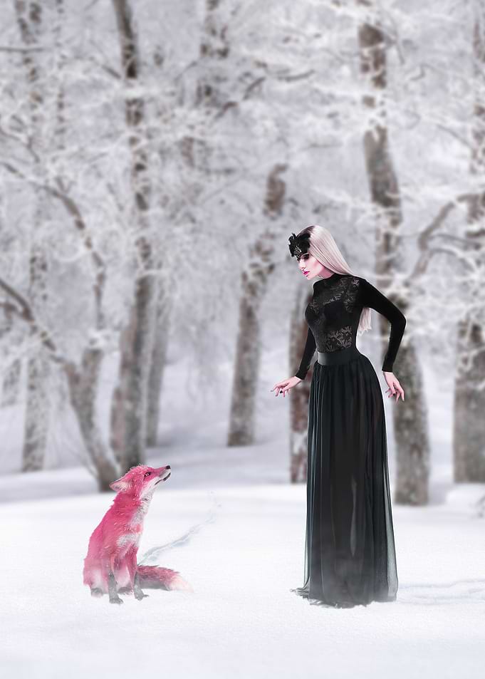 Odd Companions