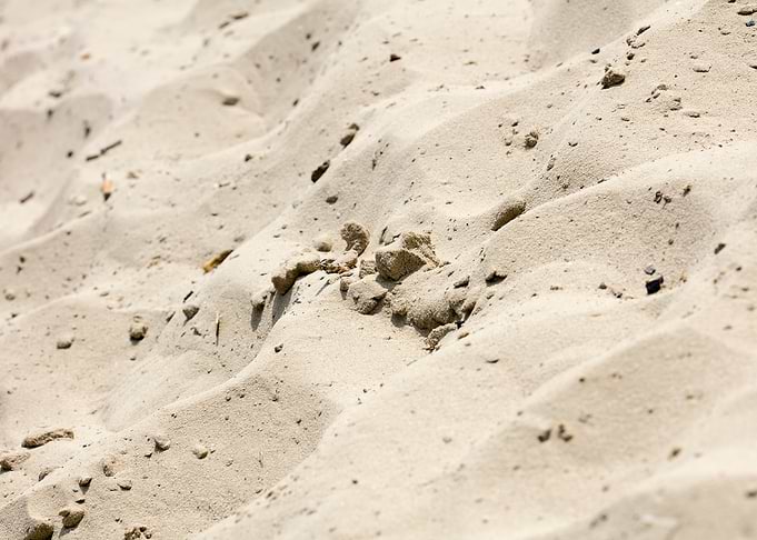 Sea sand macro fine prints