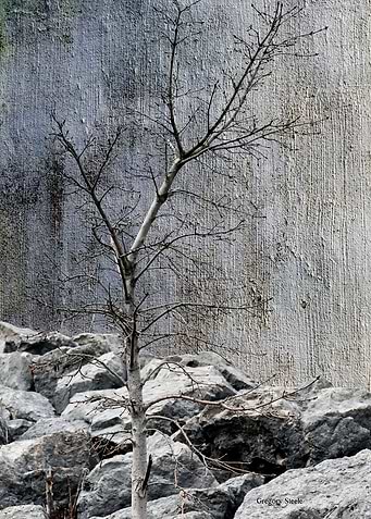 Natures Strength