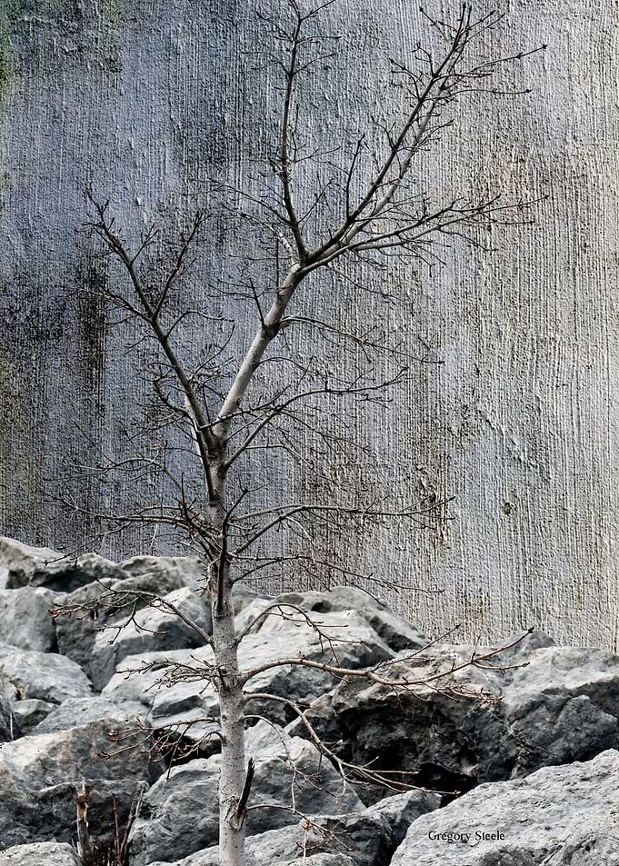Natures Strength