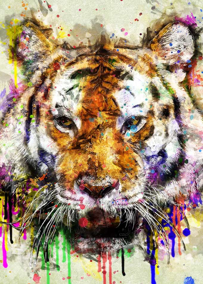 tiger