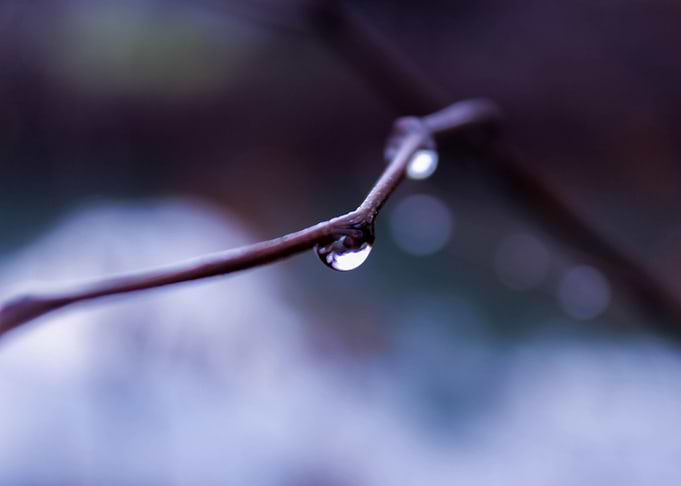Thought