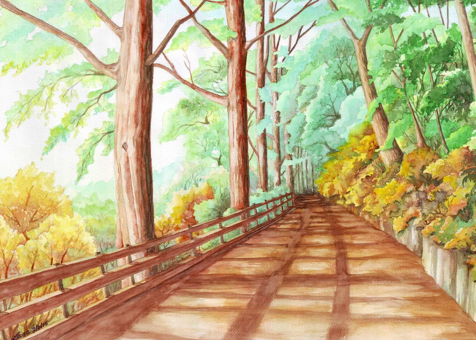Forest Path