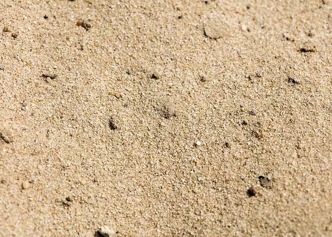 Sea sand macro fine prints
