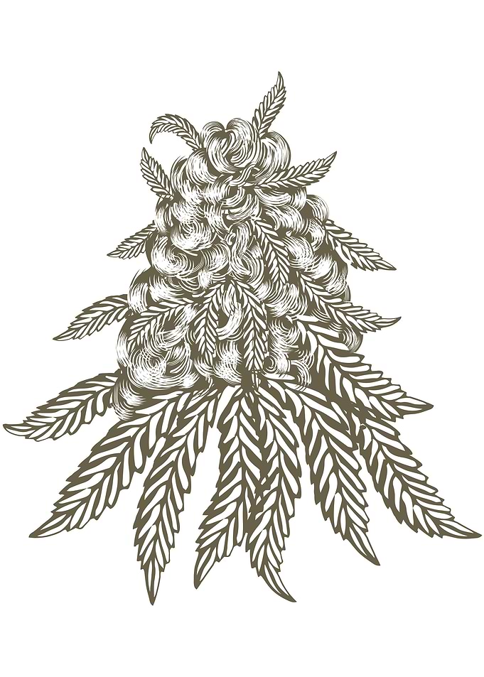 Cannabis artwork