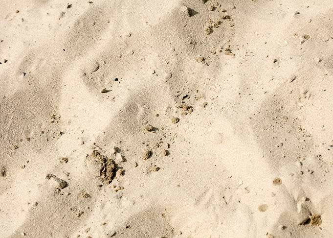 Sea sand macro fine prints