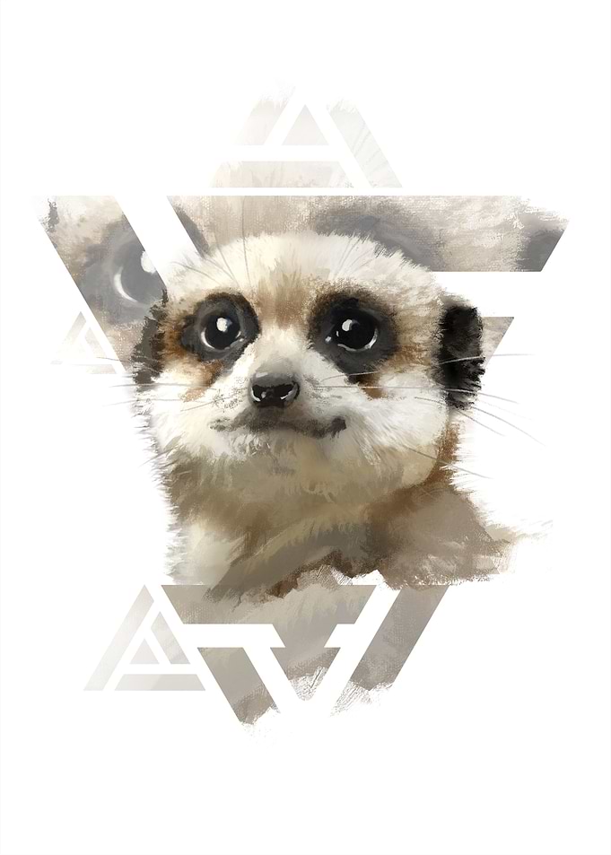 Meerkat Edge