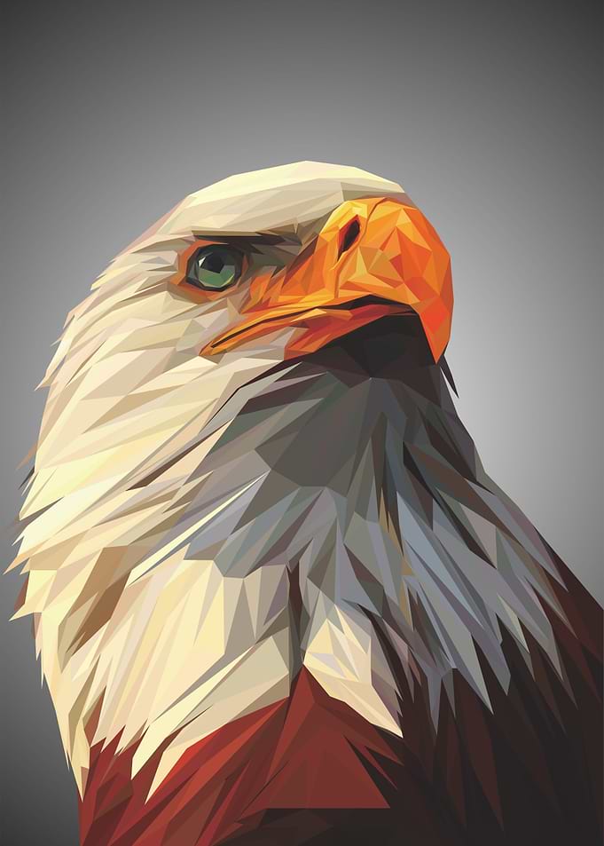 eagle lowpoly art