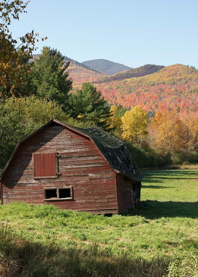 Barn Landscape