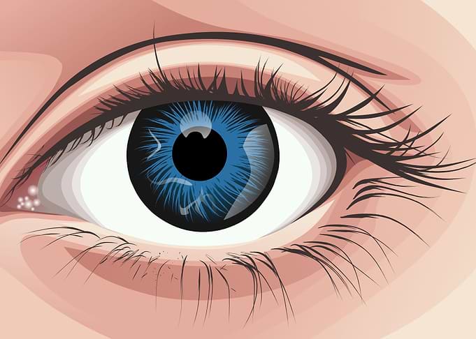 Eyes Vector