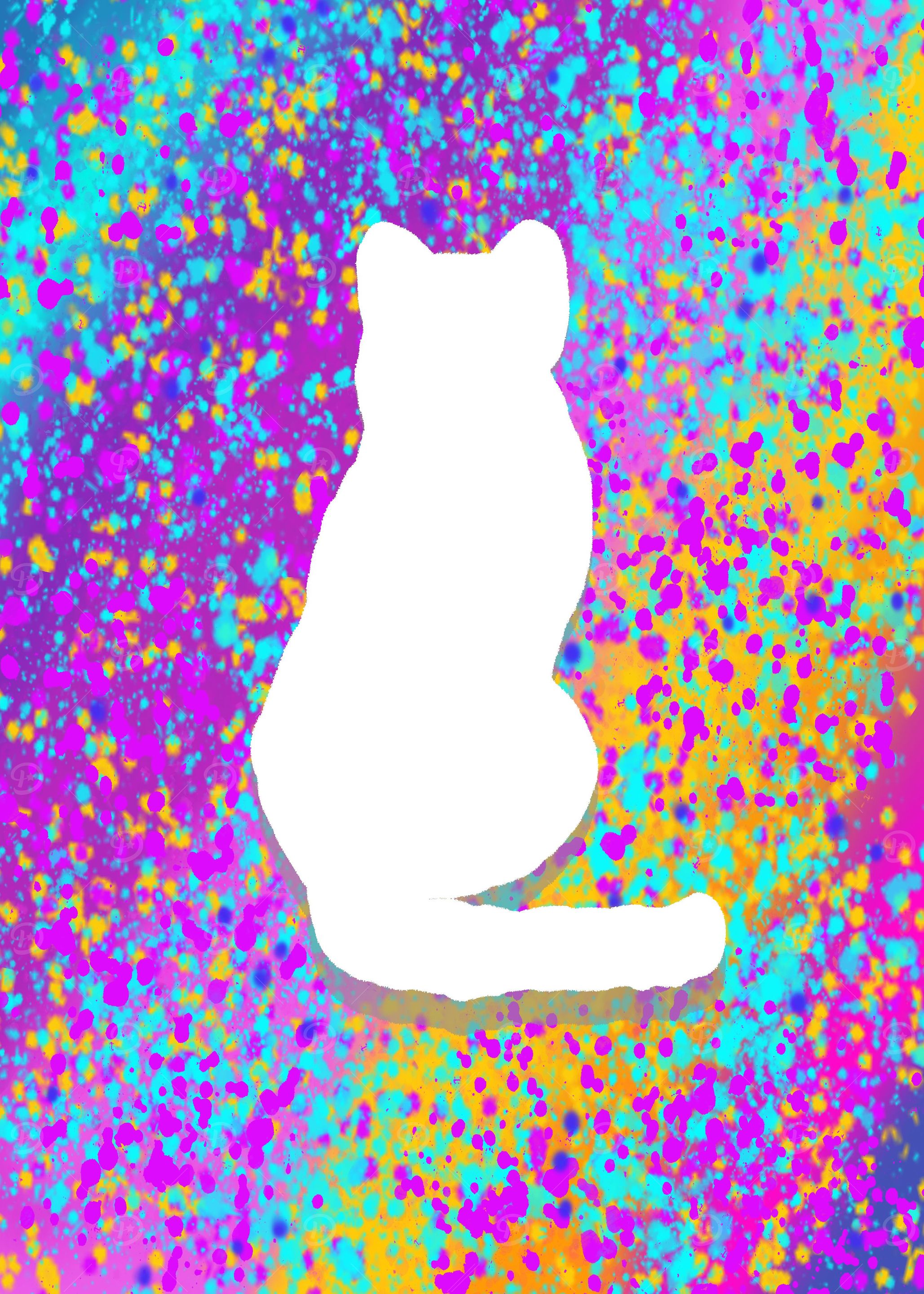 Gato