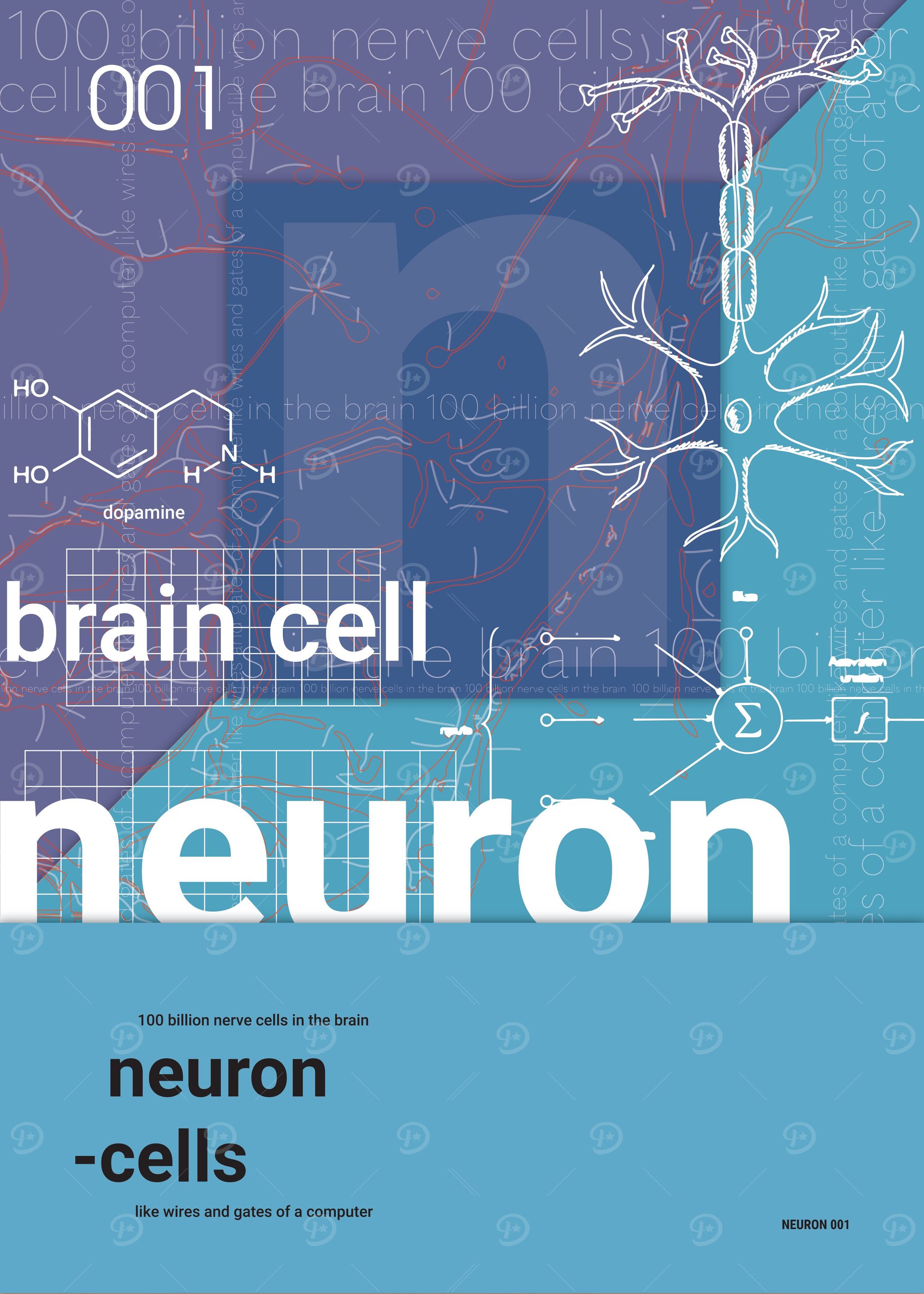 The Neuron