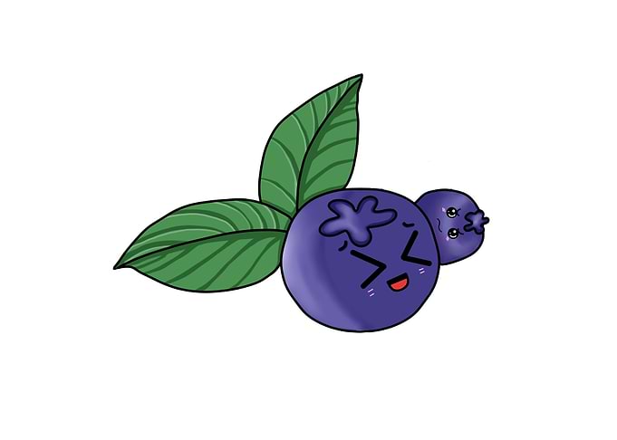 Baby Blueberries