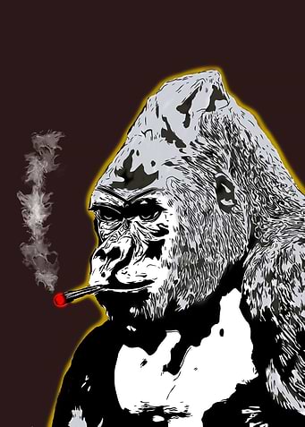 smoking monkey