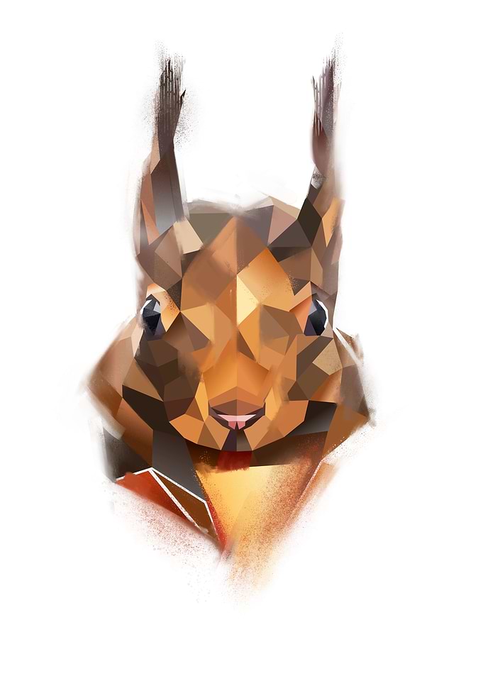 Squirrel
