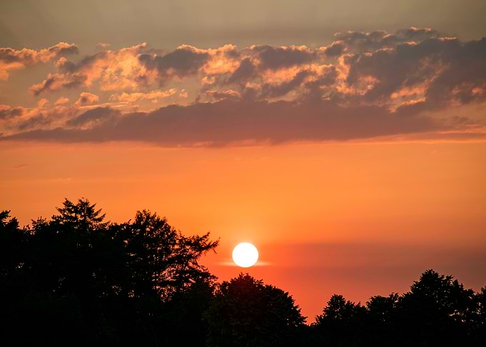 Beutiful sun gazing prints
