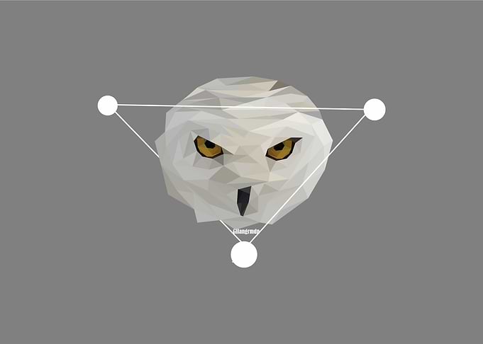 lowpoly art owl