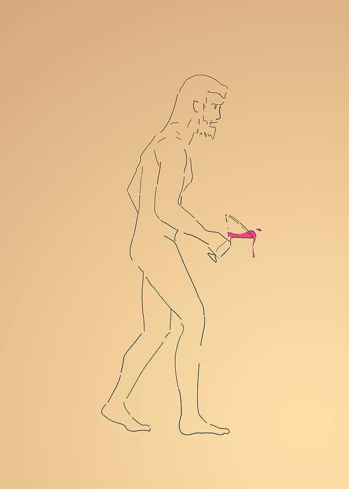 Evolution of the day 5