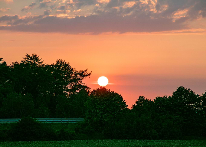 Beutiful sun gazing prints