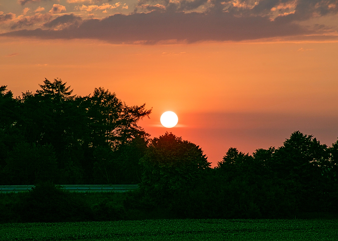 Beutiful sun gazing prints