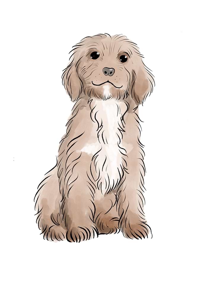 Puppy
