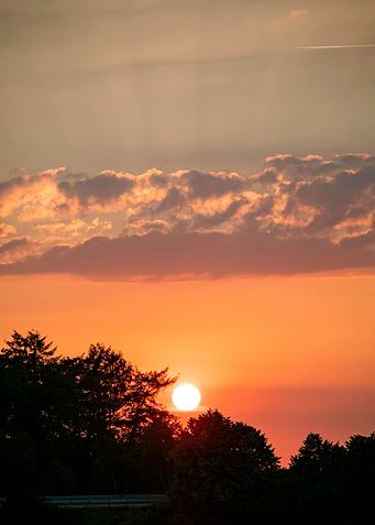 Beutiful sun gazing prints