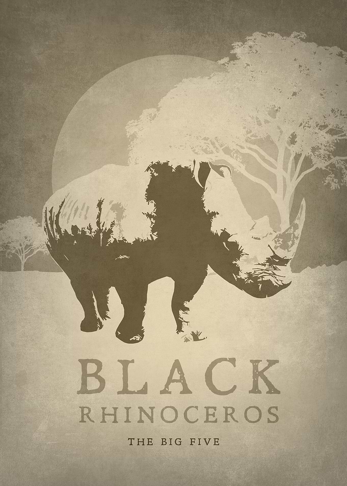 Black Rhinoceros
