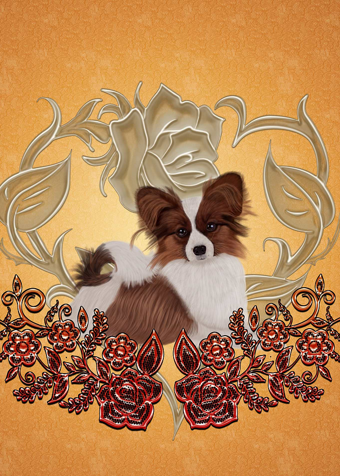 Cute papillon