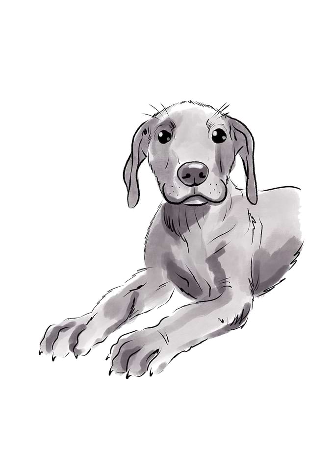 Sitting dog