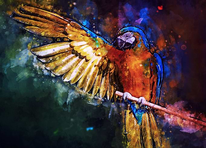 Parrot watercolor