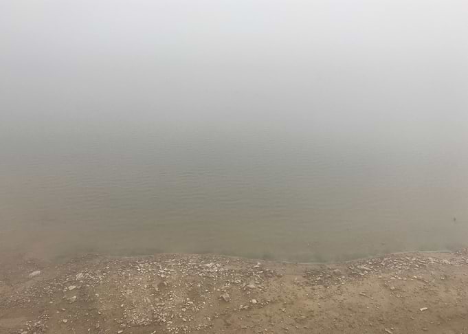 Fog