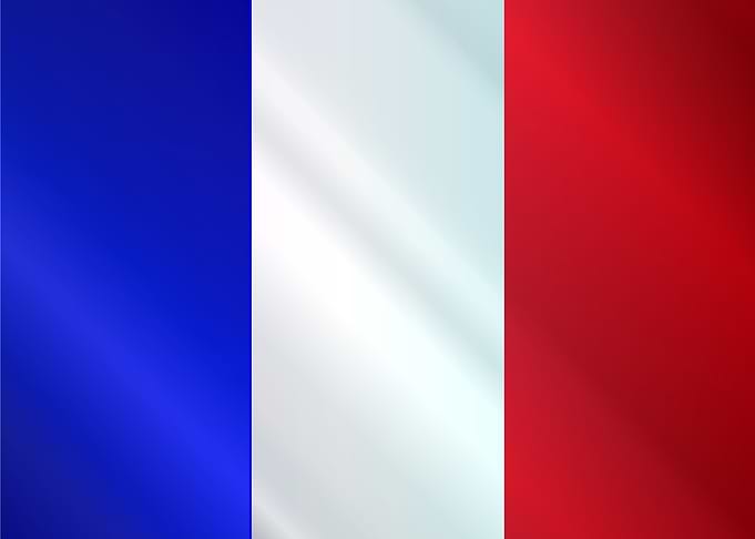 French Grunge Flag Gloss