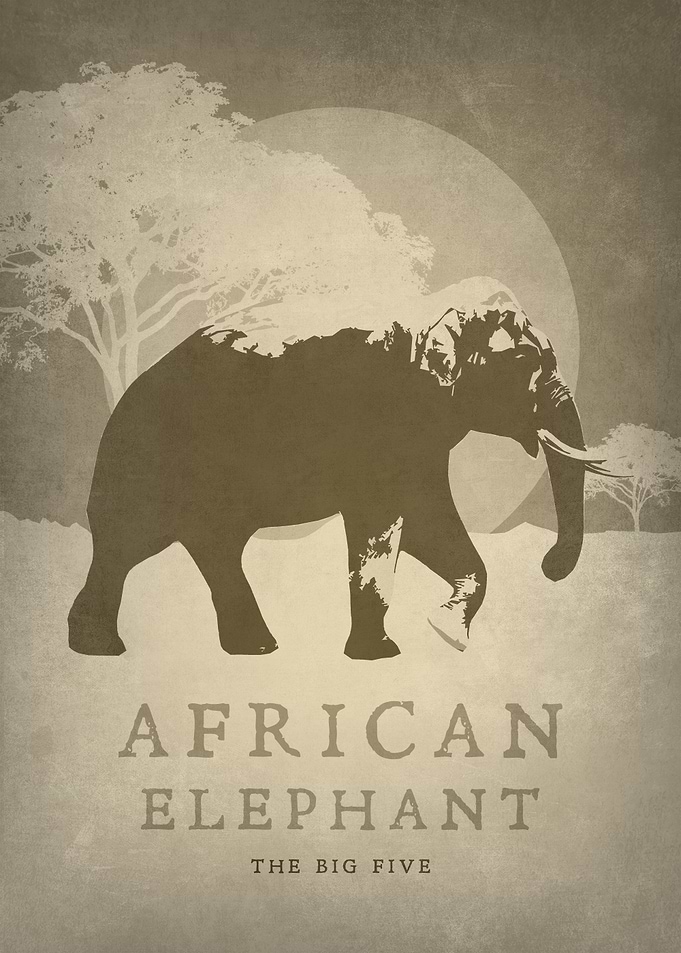 African Elephant