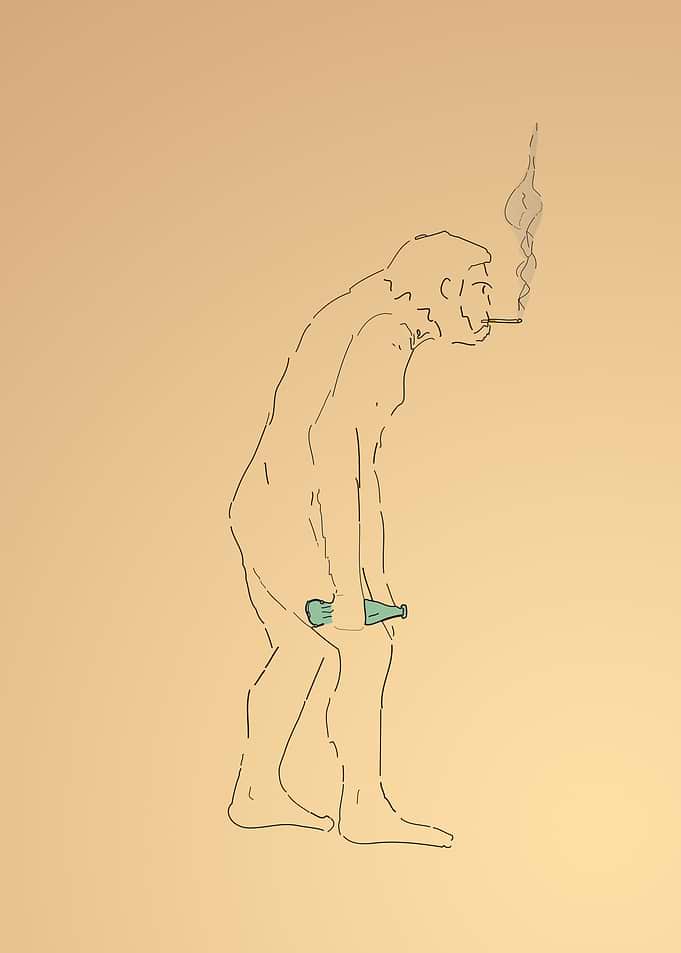 Evolution of the day 2