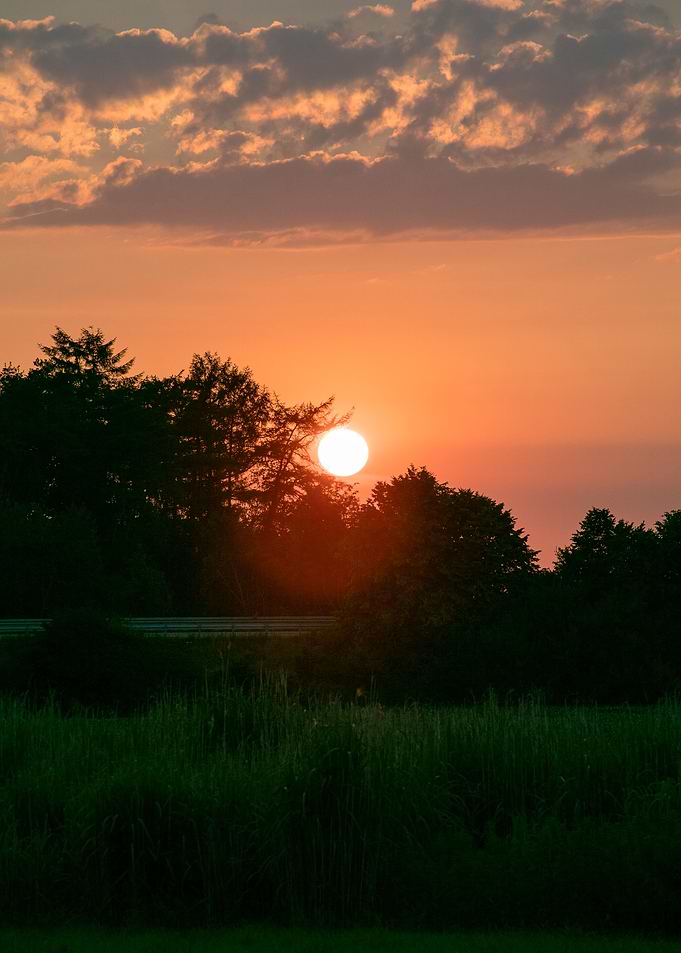 Beutiful sun gazing prints